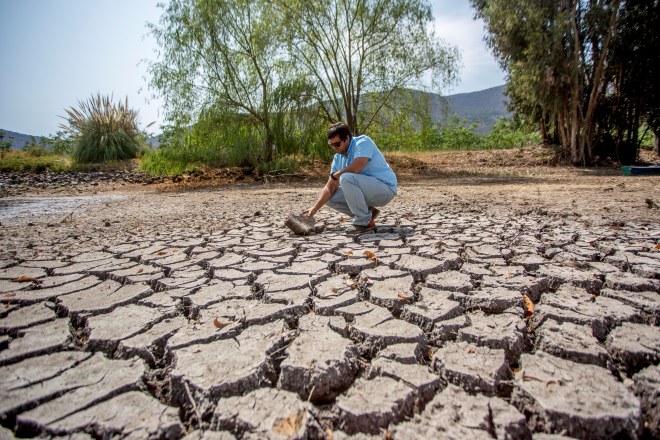 El Impacto De La Mayor Sequía De La Historia El Mercurio Campo 3774