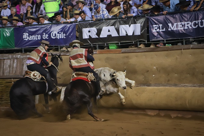 Rodeo: Hasta que llegó la hora del Champion de Chile | El Mercurio Deportes