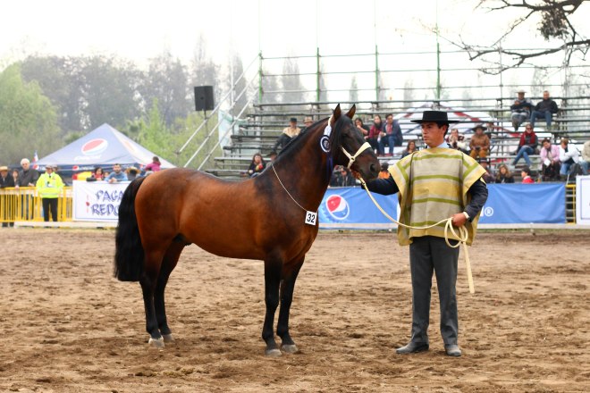 El Mercurio