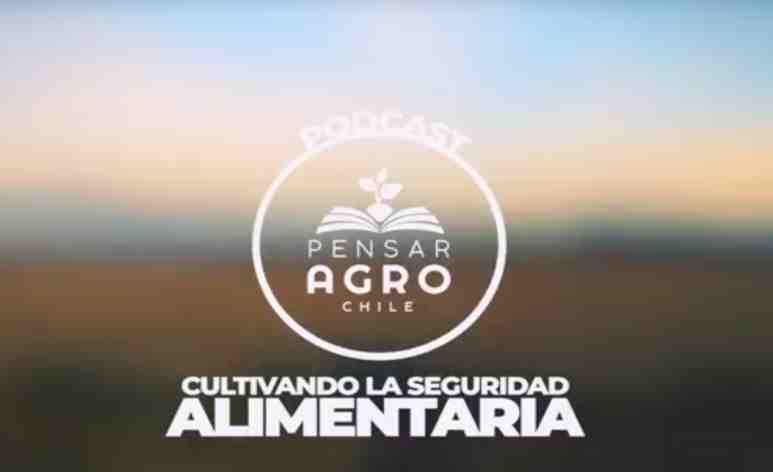 Pensar Agro: El presente del sector agroalimentario