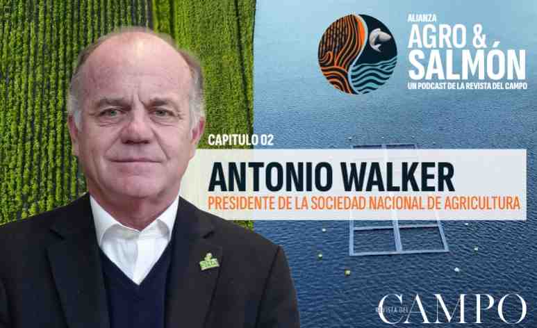 Serie “Agro y Salmón”: Colaboración y crecimiento