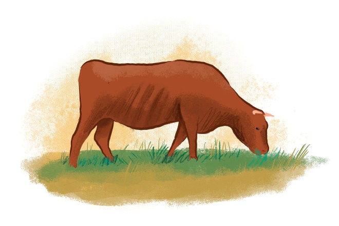 El Mercurio