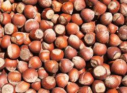 Destacado 1
