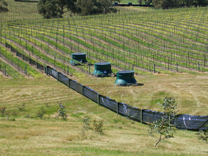 Campo