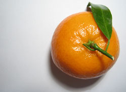 Destacado 4
