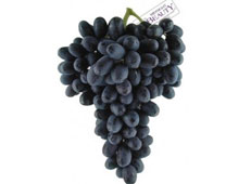 Exportación Mundial