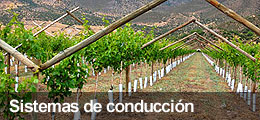 Sistemas de conducción