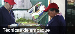 Técnicas de empaque