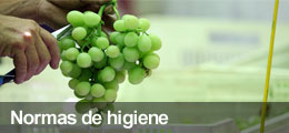 Normas de Higiene
