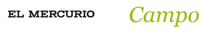 EL MERCURIO. COM